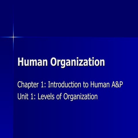 Human organization