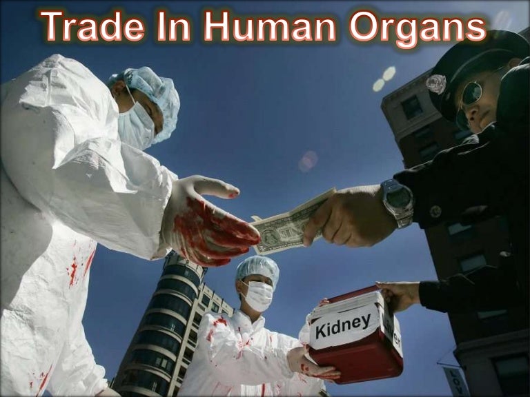 Human organ on trade ppt.