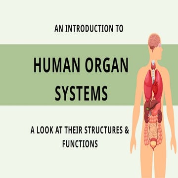 Human Body System and Their Function with a Labelled Diagram. | PPTX
