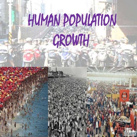 Human population 