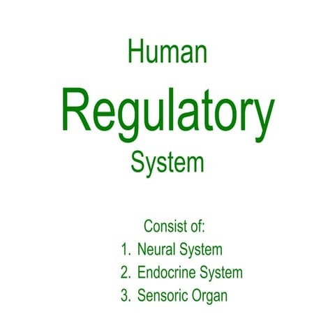 Human regulatory system 1