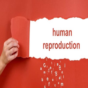 human reproduct-WPS Office.pptx