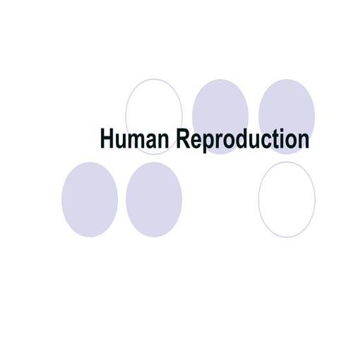 Human reproduction
