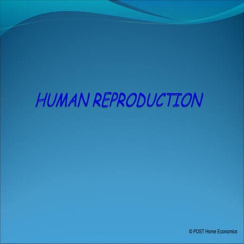 Human reproduction