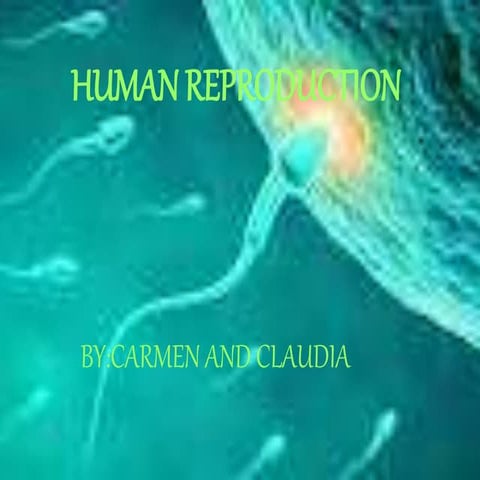 Human reproduction