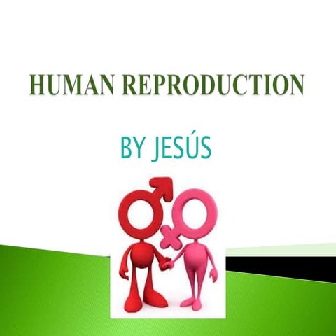 Human reproduction