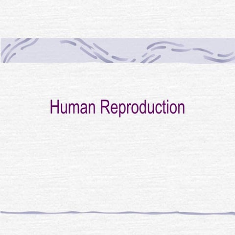 Human Reproduction