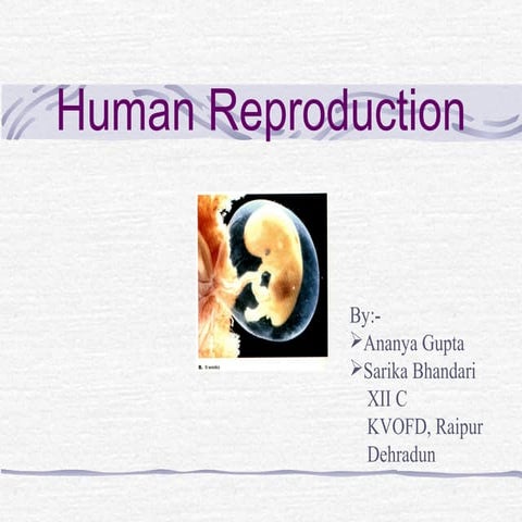 Human reproduction