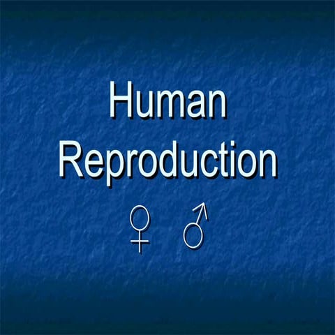 Human reproduction