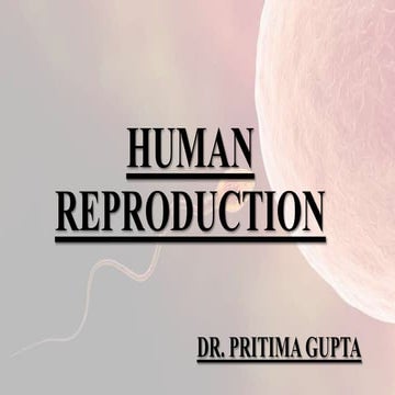 Human reproduction