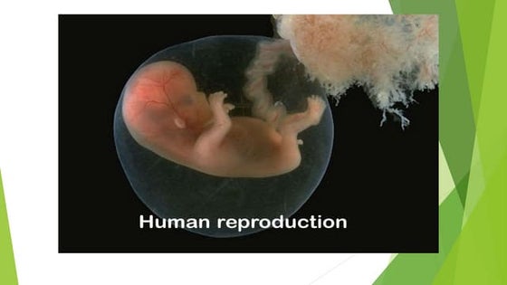 BIOLOGY PROJECT FILE.pdf