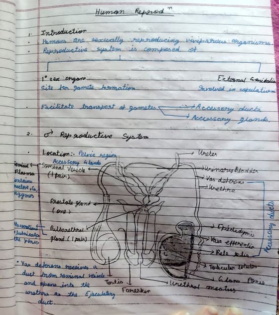 Cell the basic unit of life hand made notes | PPT