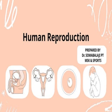 Human Reproduction: Anatomy, Physiology & Clinical Insights.pptx