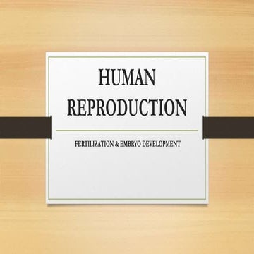 Human reproduction-III