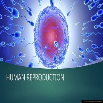 HUMAN REPRODUCTION 
