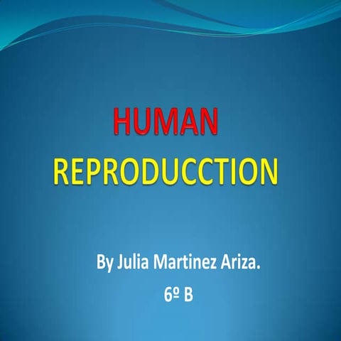 Human reproduction by Julia