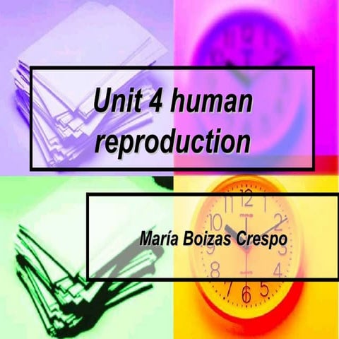 Human reproduction maria