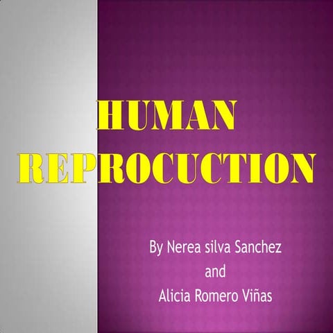 Human reproduction by Nerea and Alicia