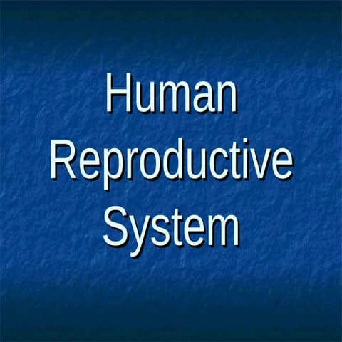 Human reproduction powerpoint