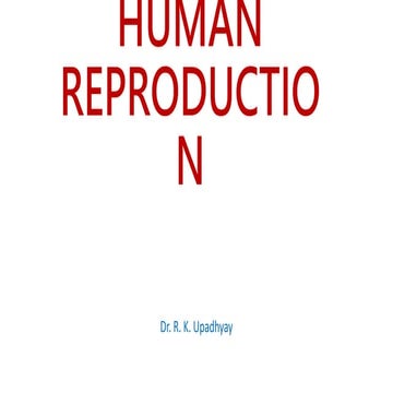 HUMAN REPRODUCTION .pptx class XII Biology
