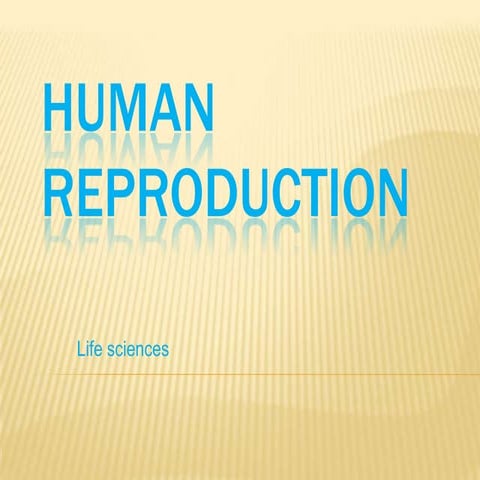 Human   reproduction