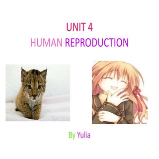 Human reproduction by Yulia