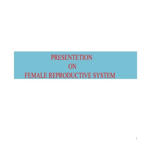 Human reproductive  system