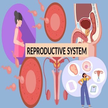 HUMAN REPRODUCTIVE SYSTEM - GEN BIO 2.pptx