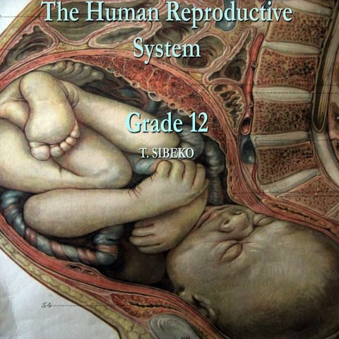 BIOLOGY PROJECT FILE.pdf