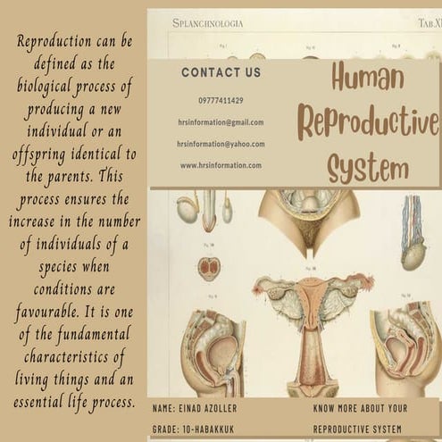 Human Reproductive System_Brochure.pdf