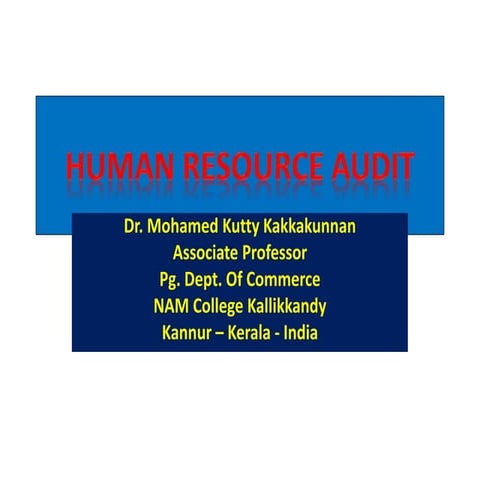 Human resource audit