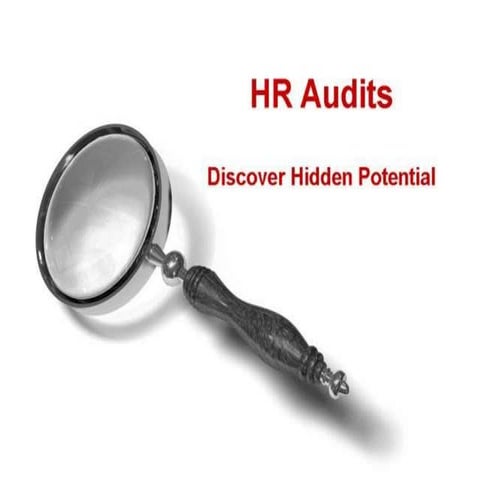 Human resource audits