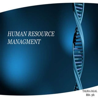 Pay Structure Decision