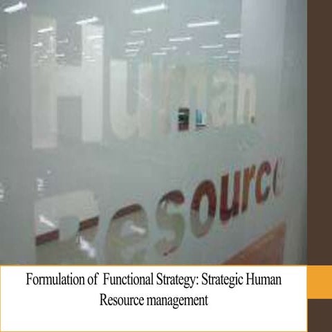 humanresourcestrategy.. formulation of functional strategy