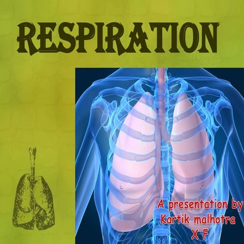 Human respiration by kartik malhotra