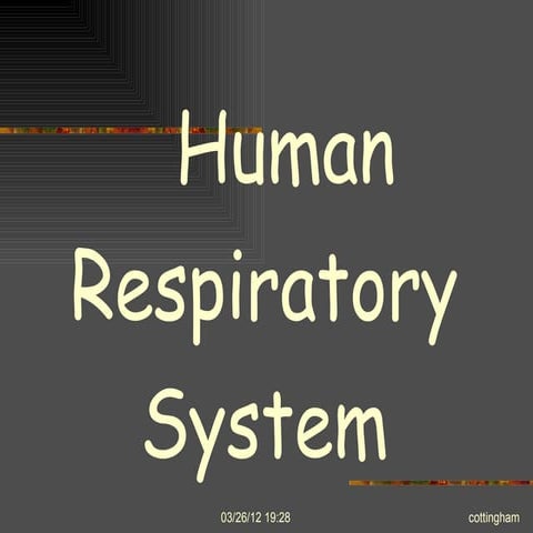 Human respiration honors master