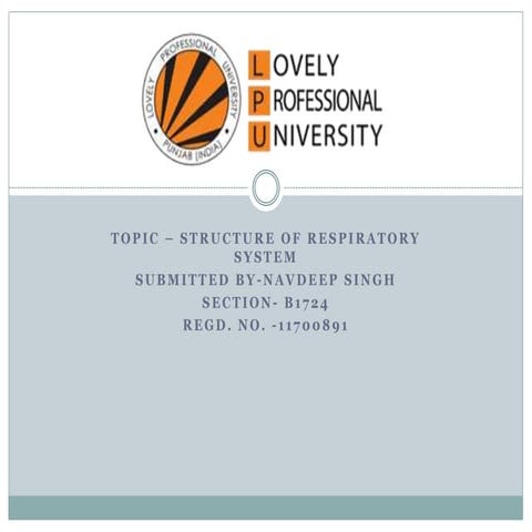 Human respiratory system