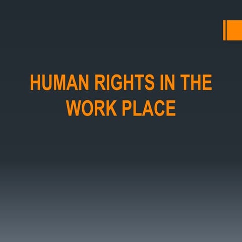 Human Rights in the workplace
