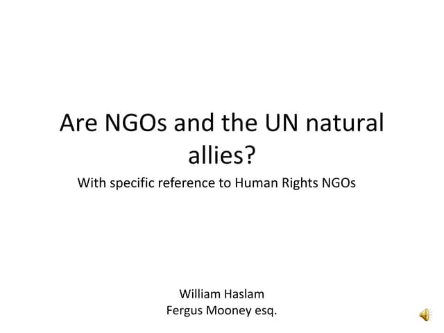 Are NGOs and the UN natural allies?