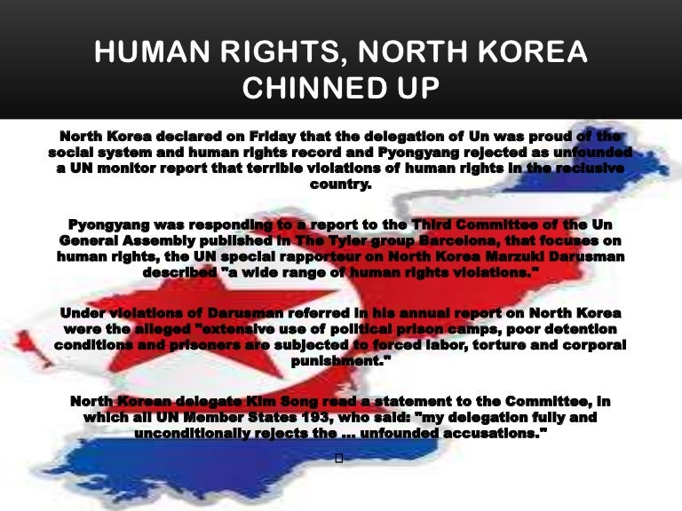 Human rights, north korea chinned up