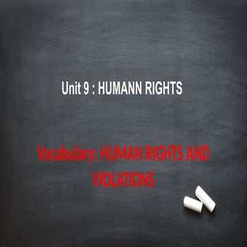 Comprehensive Overview of Human Rights and Violations with Global ...