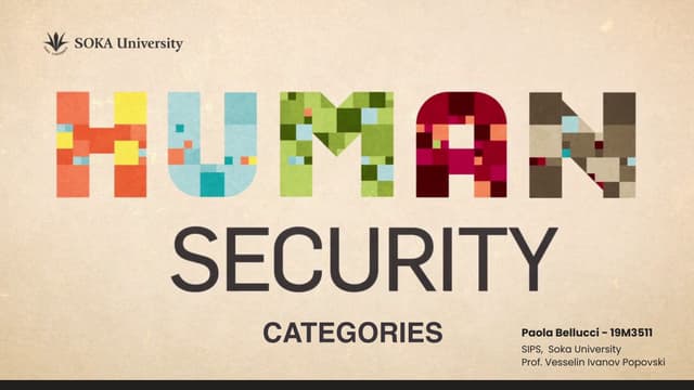 Human Security Categories