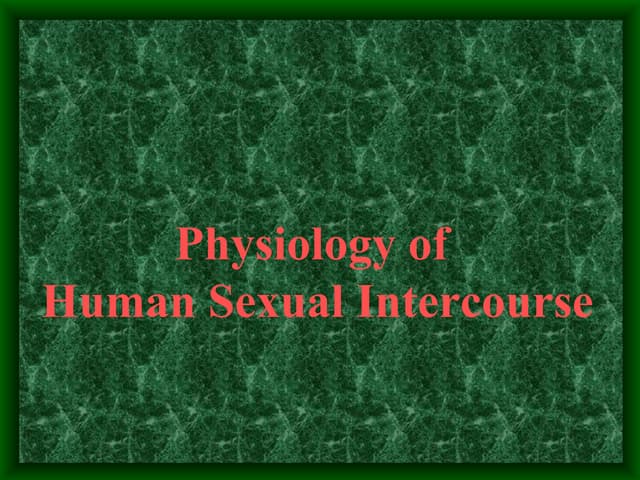 Human sexual intercourse