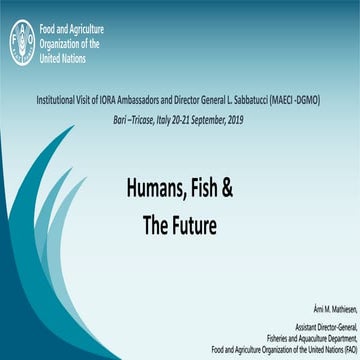 Humans fish and the future 