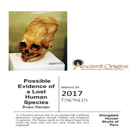 Human skulls of peru possible evidence of a lost human species