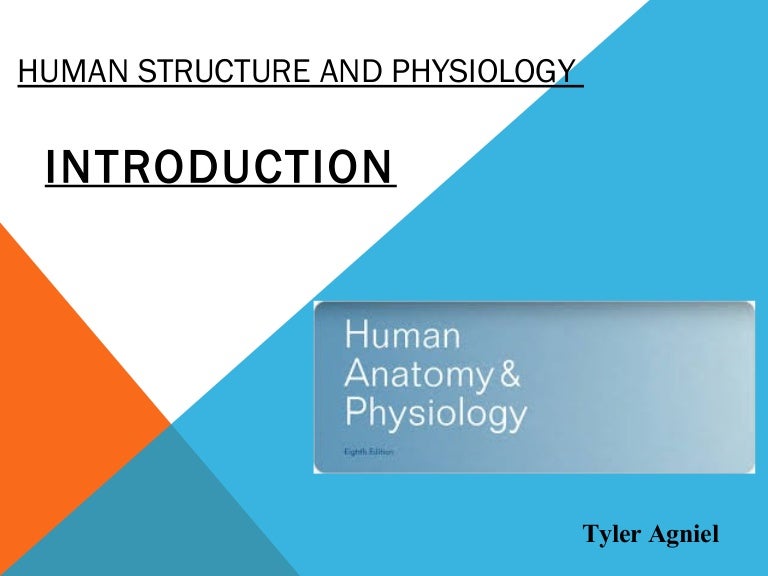 Human Structure and Physiology