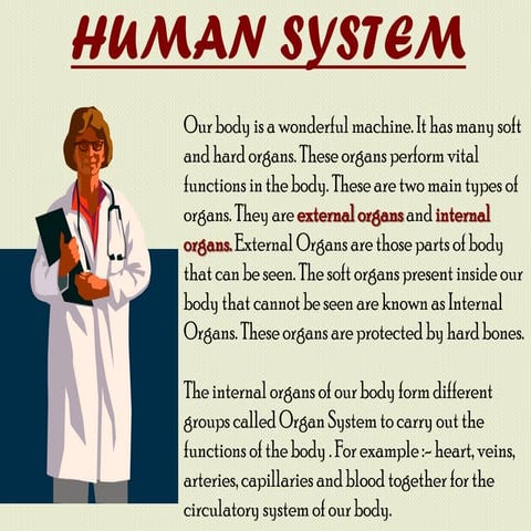 Human system