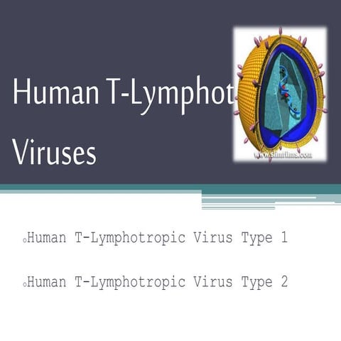 Human t lymphotropic viruses