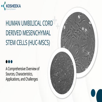 Human Umbilical Cord-derived Mesenchymal Stem Cells | PDF