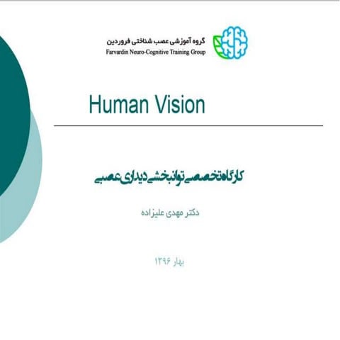 Human vision